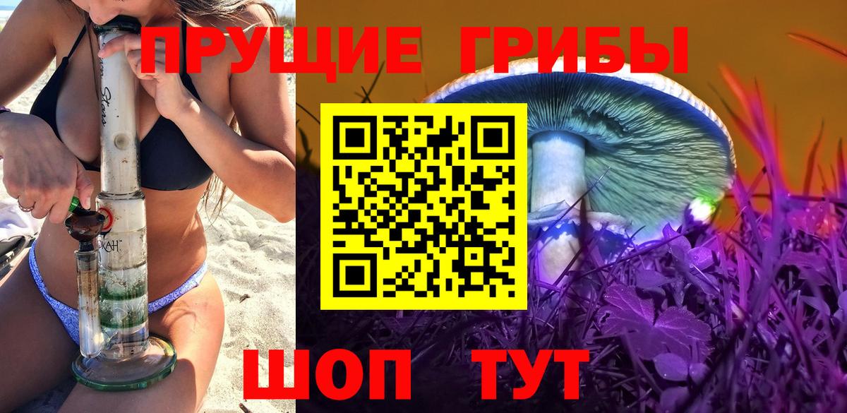 Галлюциногенные грибы GOLDEN TEACHER Электрогорск