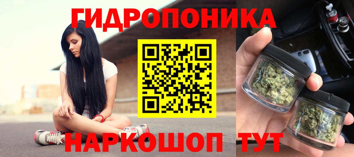 Шишки марихуана планчик  Канабис ГИДРОПОН  Бошки марихуана Bruce Banner  Вход с VPN  Бошки Шишки OG Kush  Электрогорск 